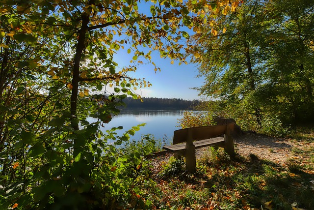 仅来源于个 仅来源于个