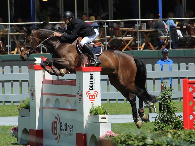 总结与展望 总结与展望