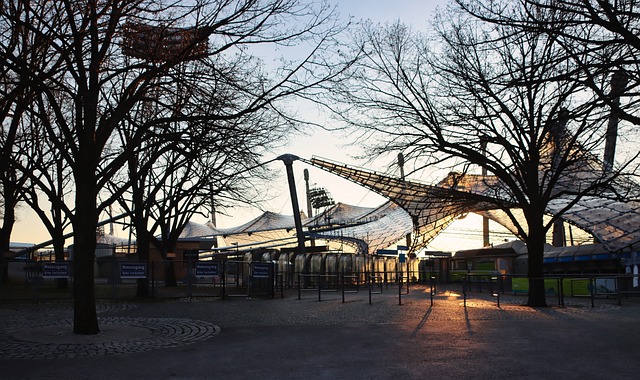 数球迷激动 数球迷激动