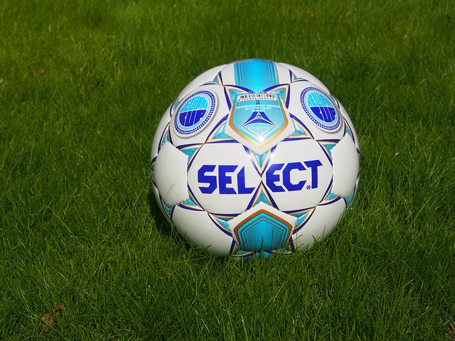 未来展望 未来展望