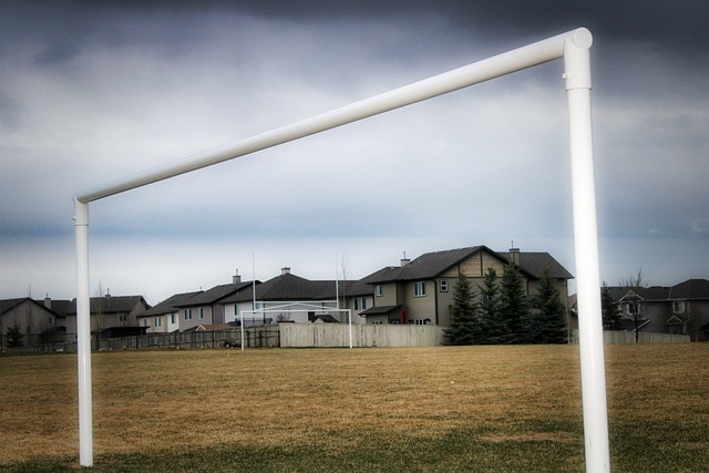 全新的变化 全新的变化