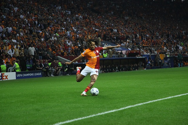 的球场视野 的球场视野