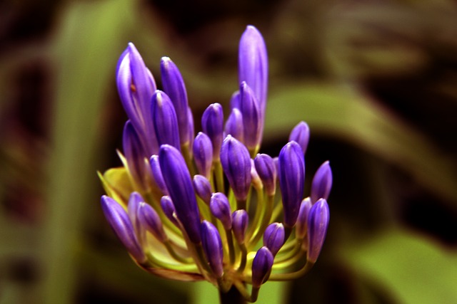 对于皮尔洛 对于皮尔洛