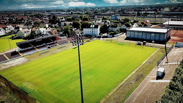 并质疑京东 并质疑京东